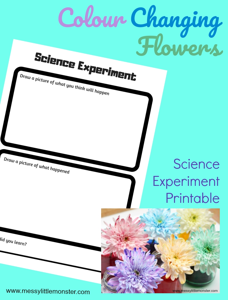printable food coloring flower experiment worksheet