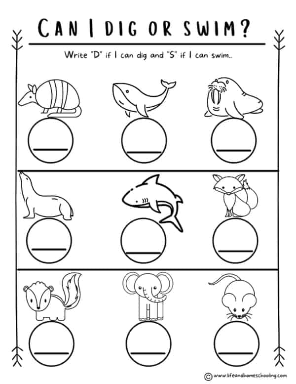 Preschool Kindergarten Science Animals Printable Worksheets 