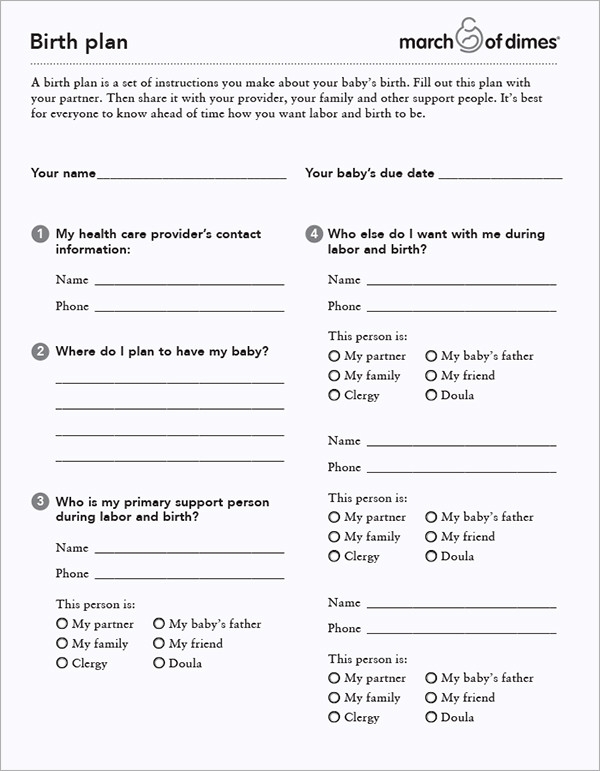 Printable Birth Plan Template Free Free Templates Printable