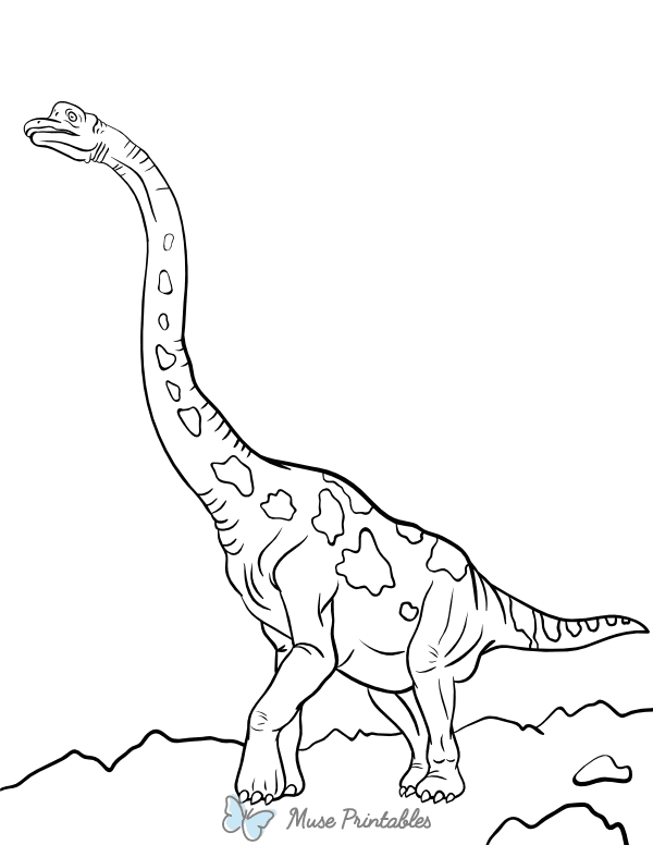 Brachiosaurus Coloring Page