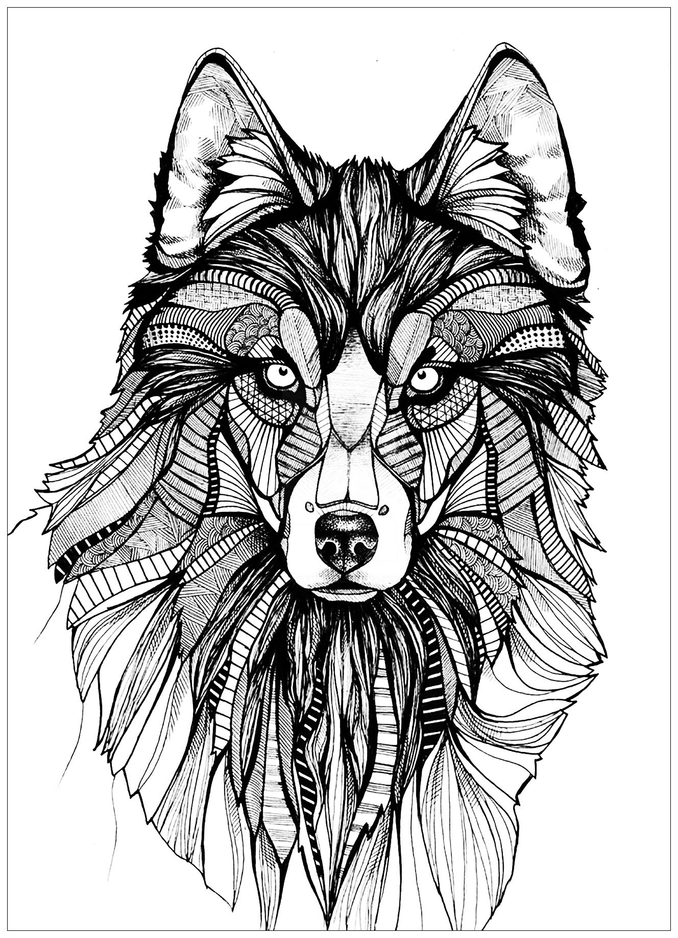 Printable Coloring Pages Of Wolves Printable Templates