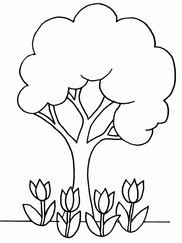 Printable Coloring Pages Trees