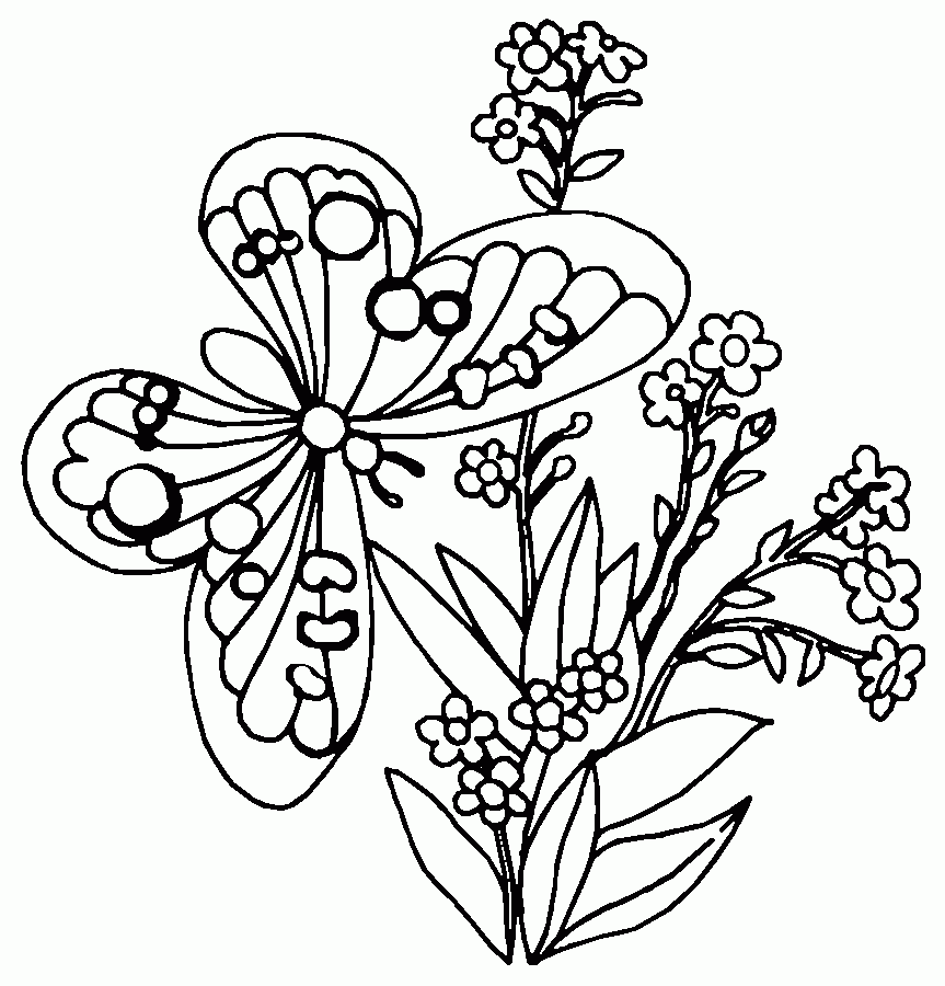 Printable Pictures Of Flowers And Butterflies