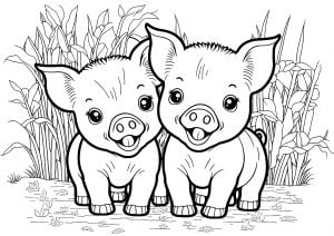 Printable Pig Pictures To Color Infoupdate