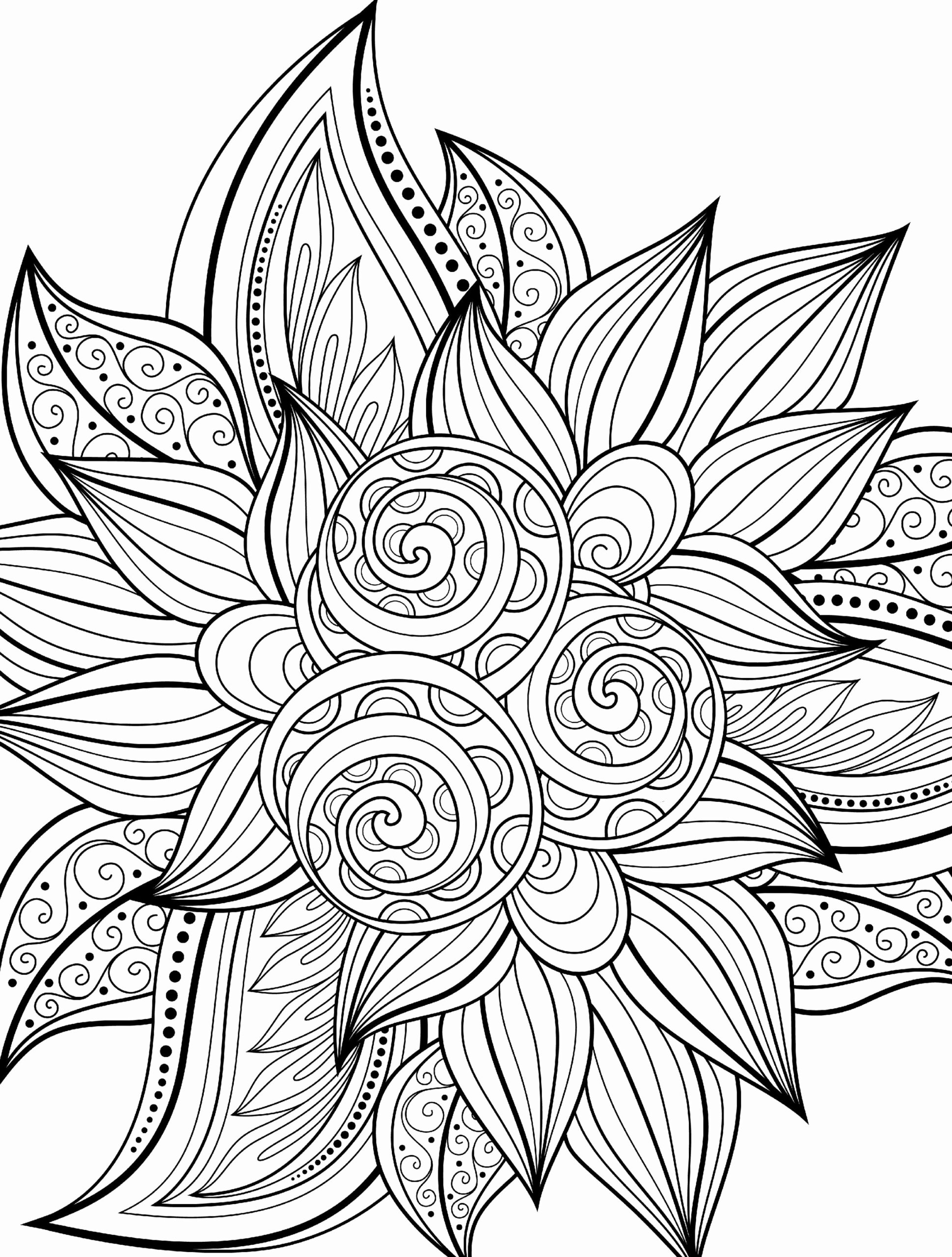 free printable coloring pages color by number