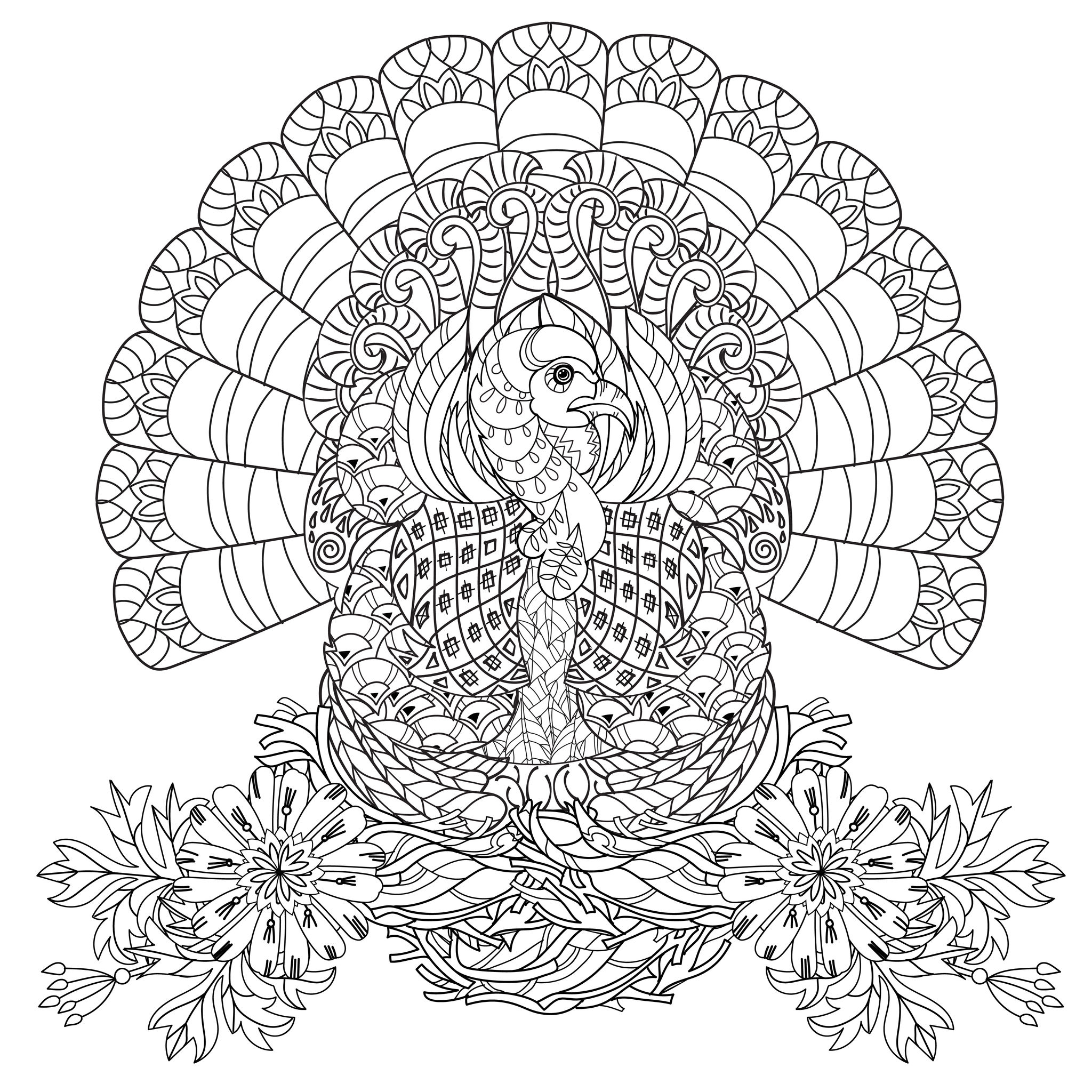 printable turkey pictures to color