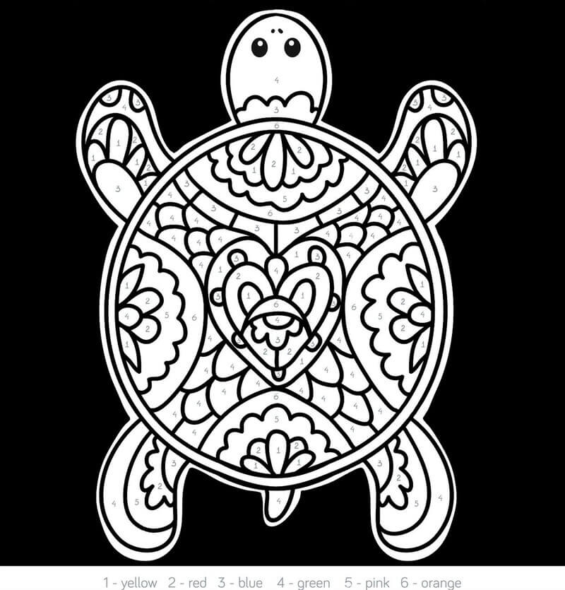 Printable Turtle Color By Number Download Print Now 