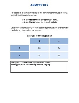 Punnet Square Worksheet By AKA Education TPT