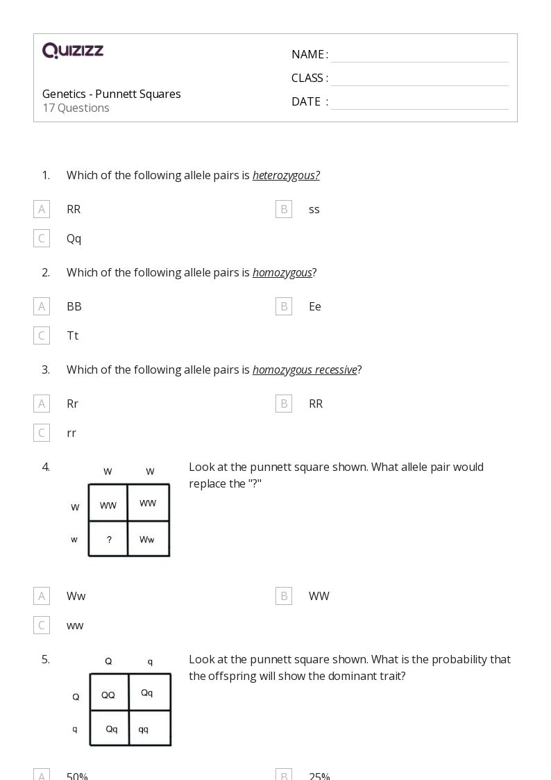 Punnett Square Practice Or Quiz PDF With Answer Key Laney Lee