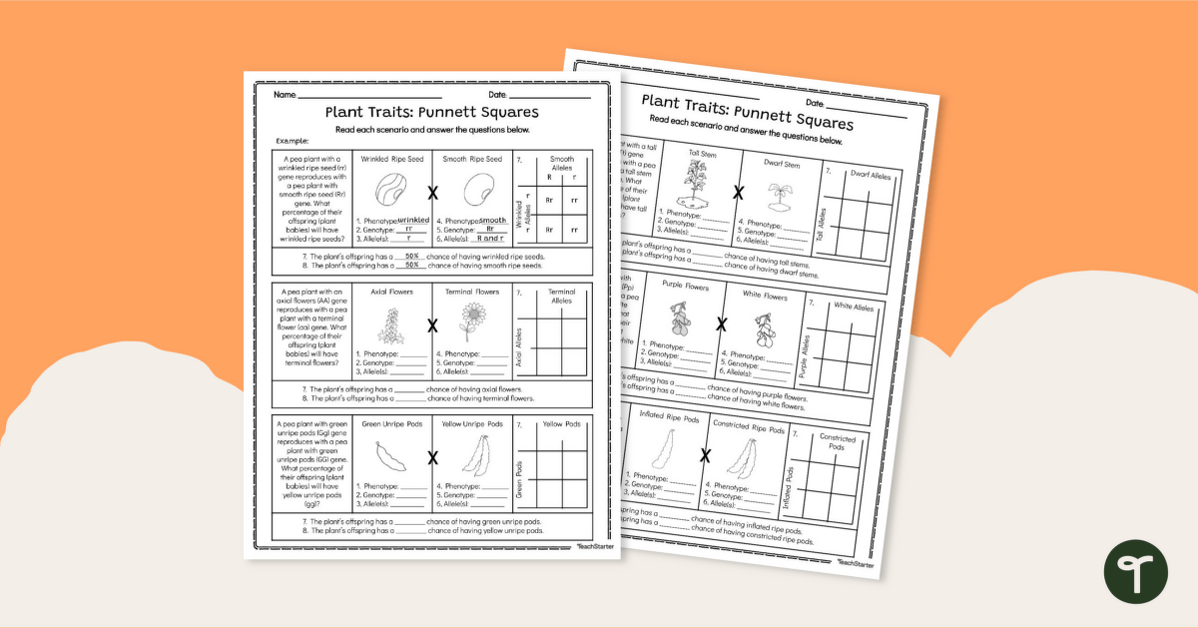 Punnett Square Worksheets Teach Starter Worksheets Library