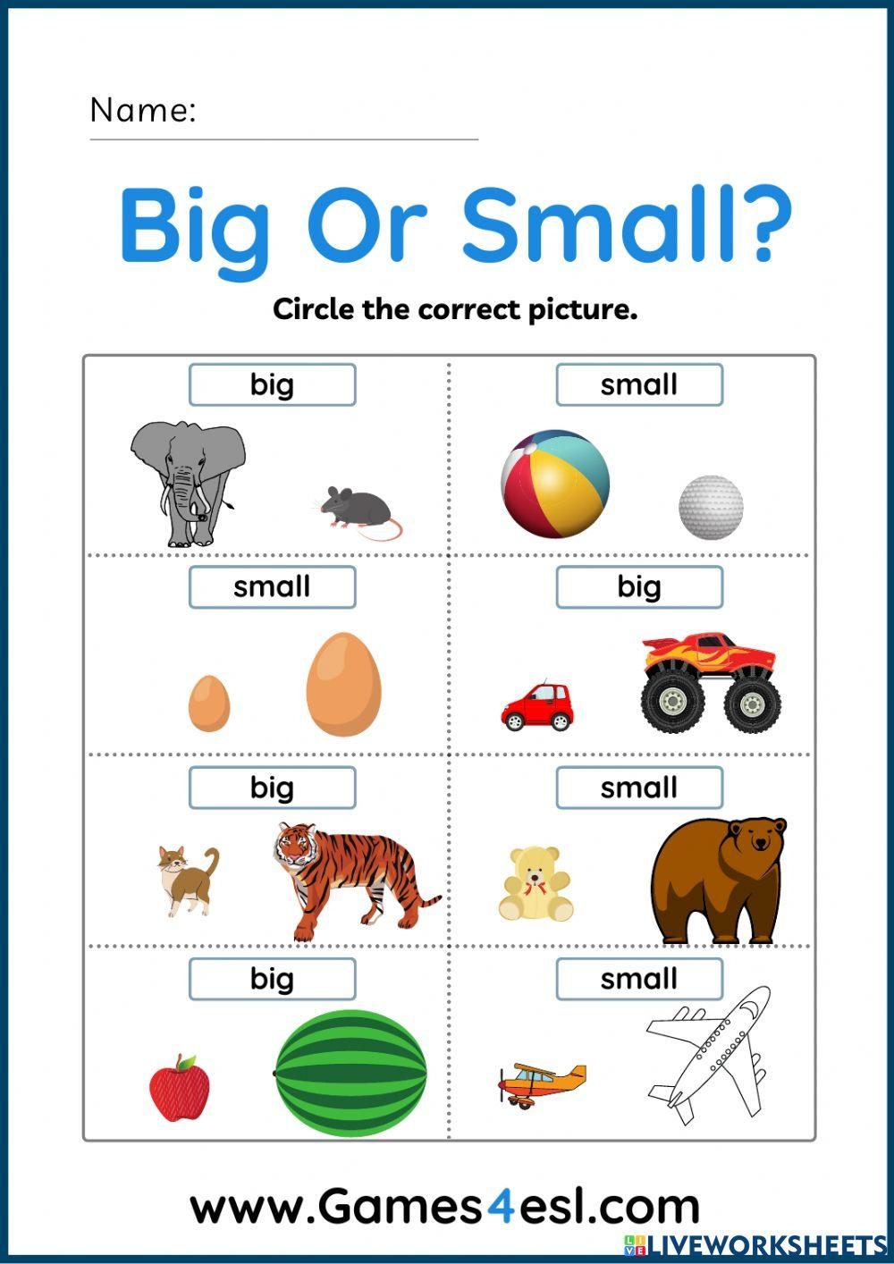 School Size Sorting Worksheet Worksheets Library