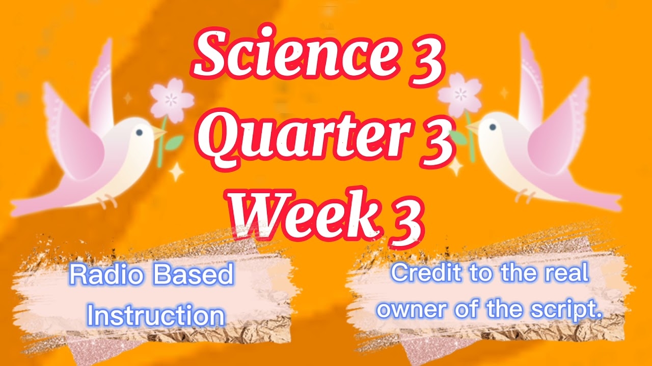 Science 5 Quarter 4 Week 8 Enrichment