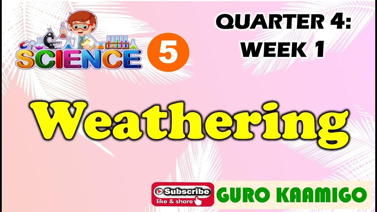 Science 5 Quarter 4 Week 8 Enrichment