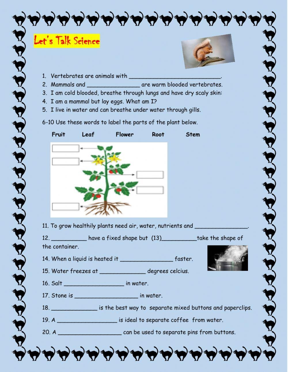 nursery science worksheets