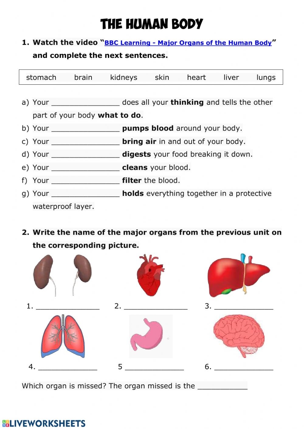 Science Human Body Worksheets Printable Worksheets
