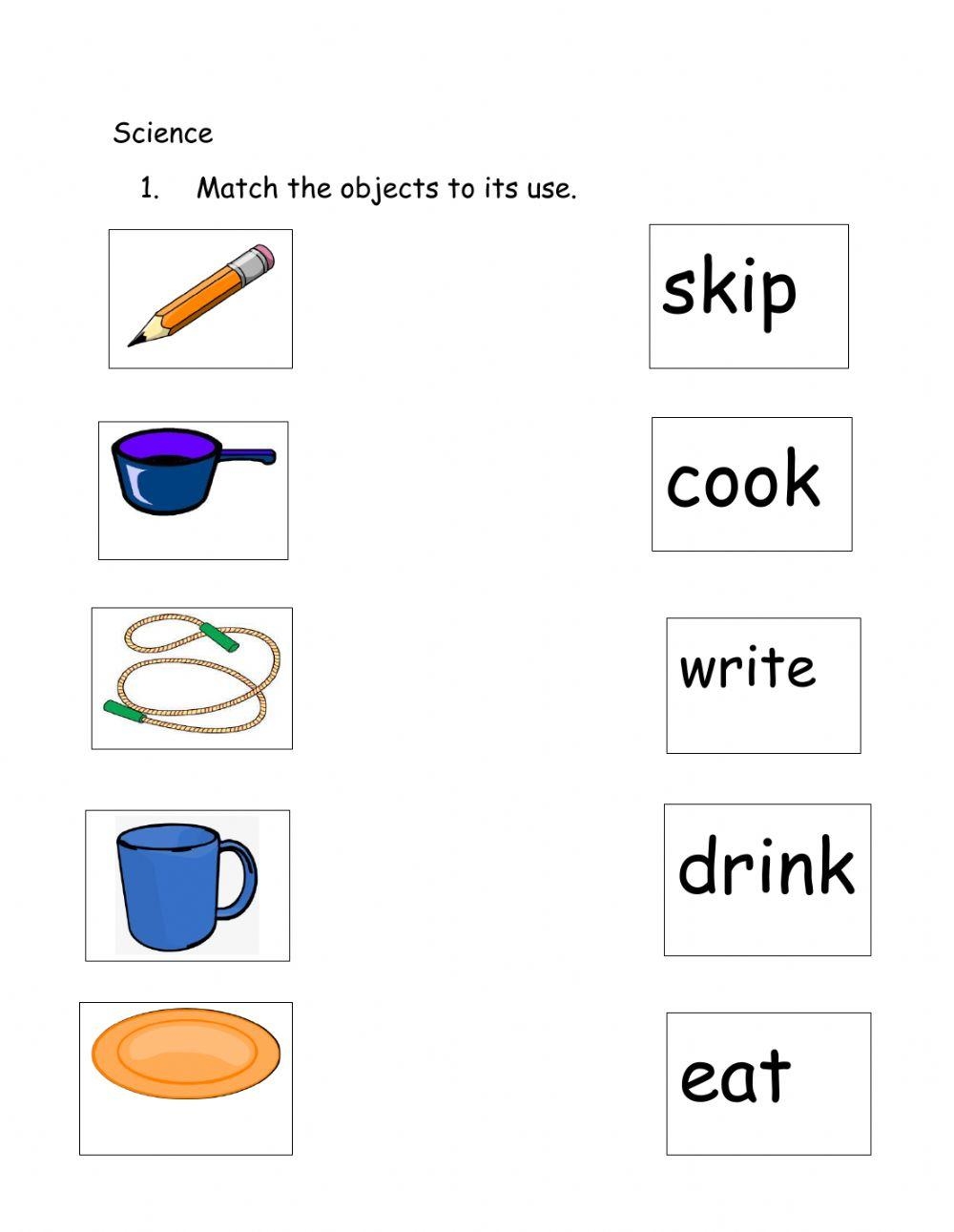kindergarten science worksheet