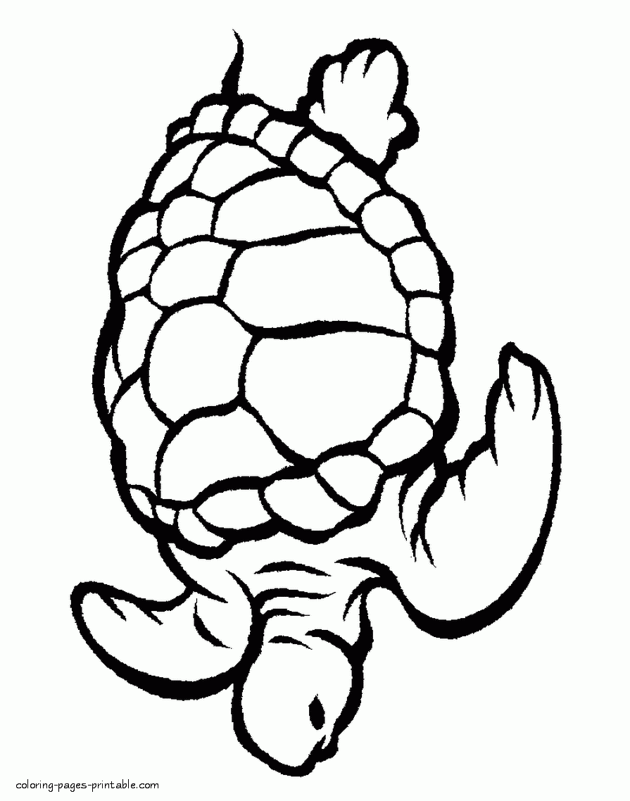 Sea Animals Coloring Pages Free Printable Sea Animals Coloring Page 