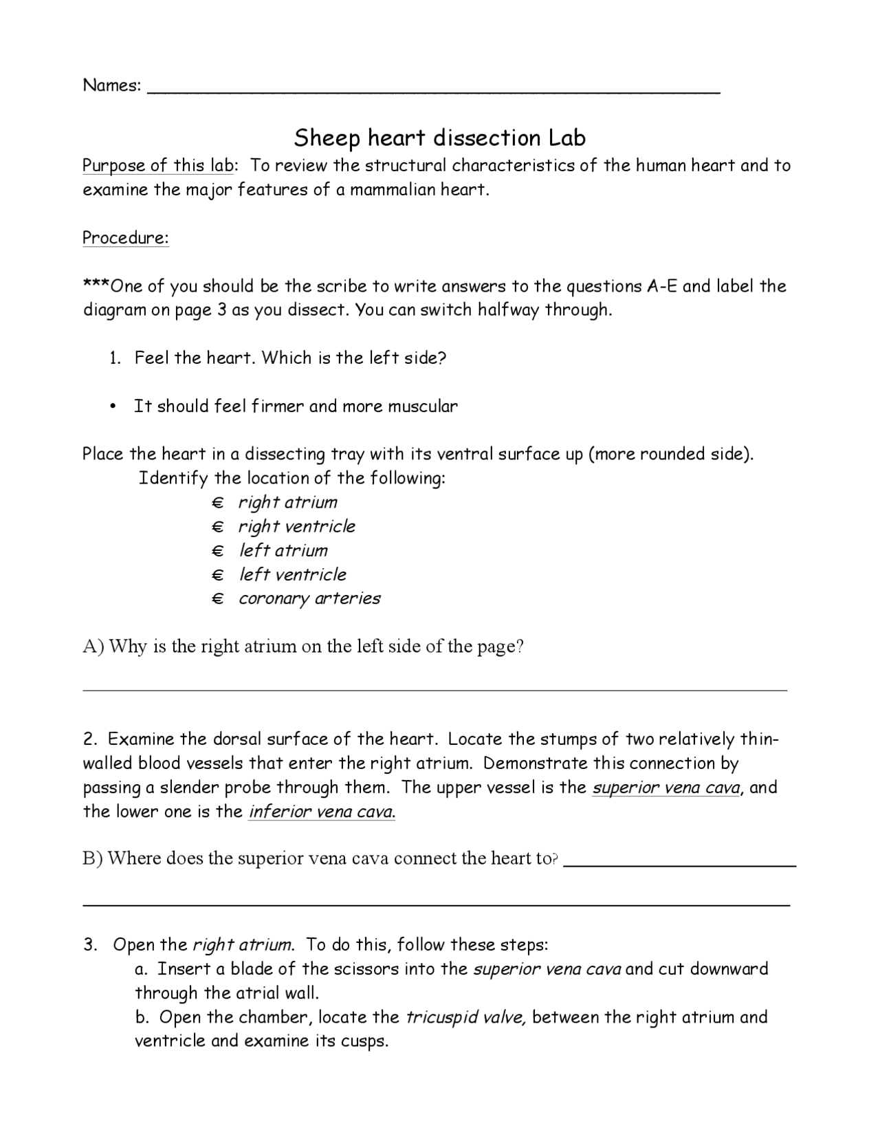 Sheep Heart Images Worksheets Library