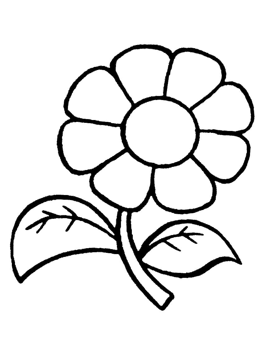 Simple Flower For Kindergarten