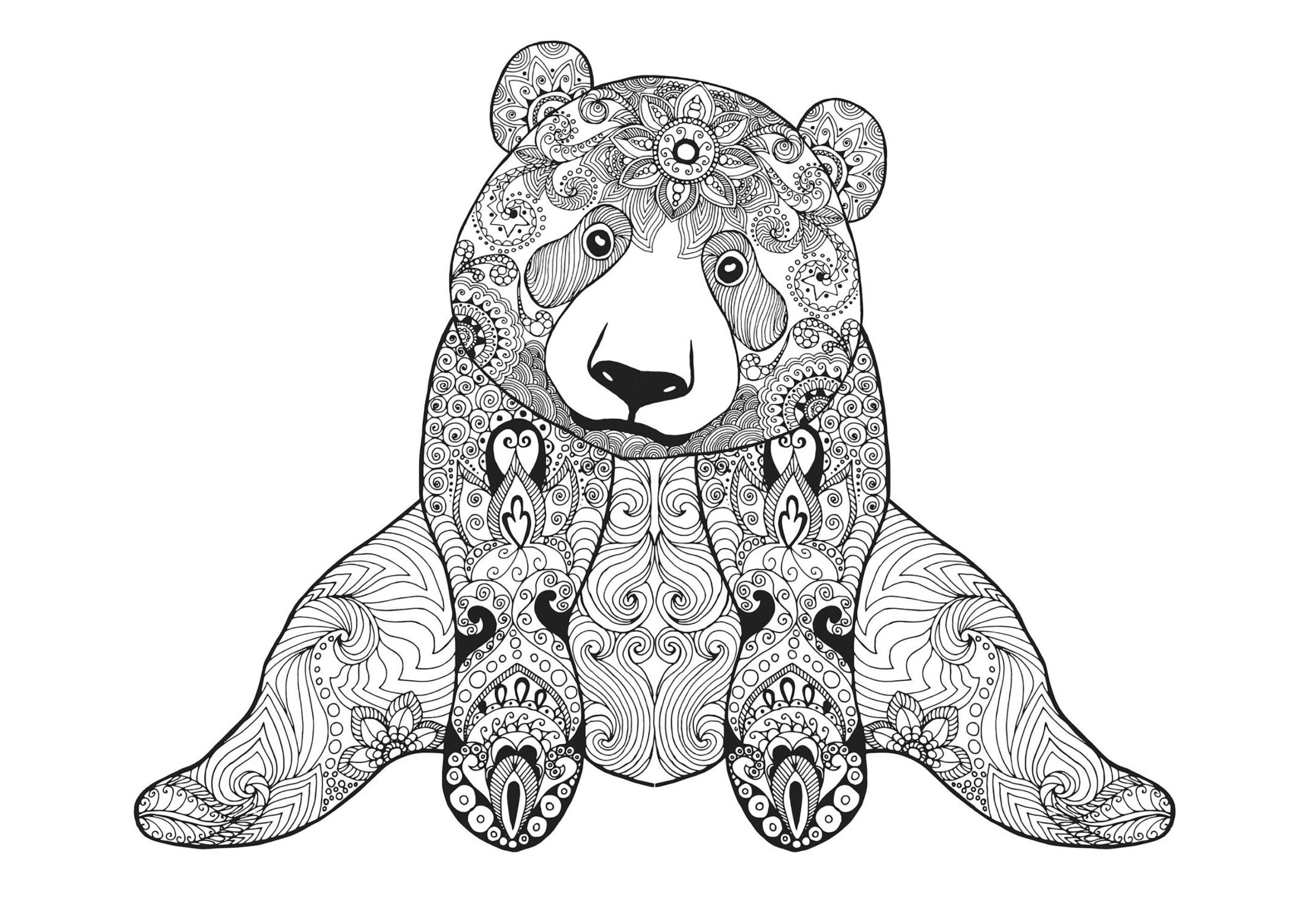 Sitting Bear Bears Adult Coloring Pages