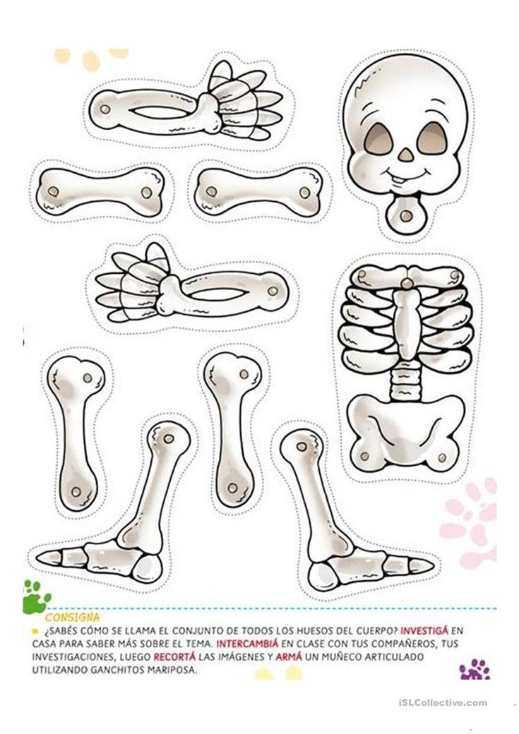 Skeleton Worksheets Printable Ronald Worksheets