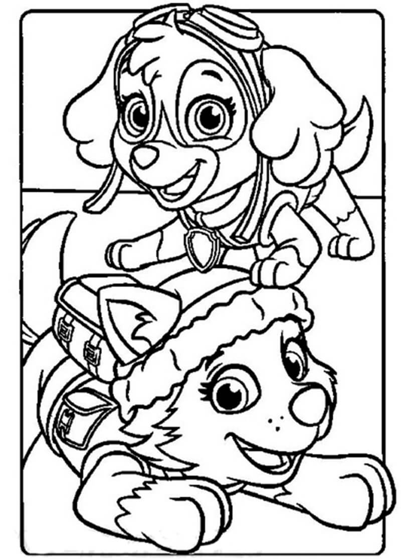 Skye Paw Patrol 16 Coloring Page Free Printable Coloring Pages For Kids