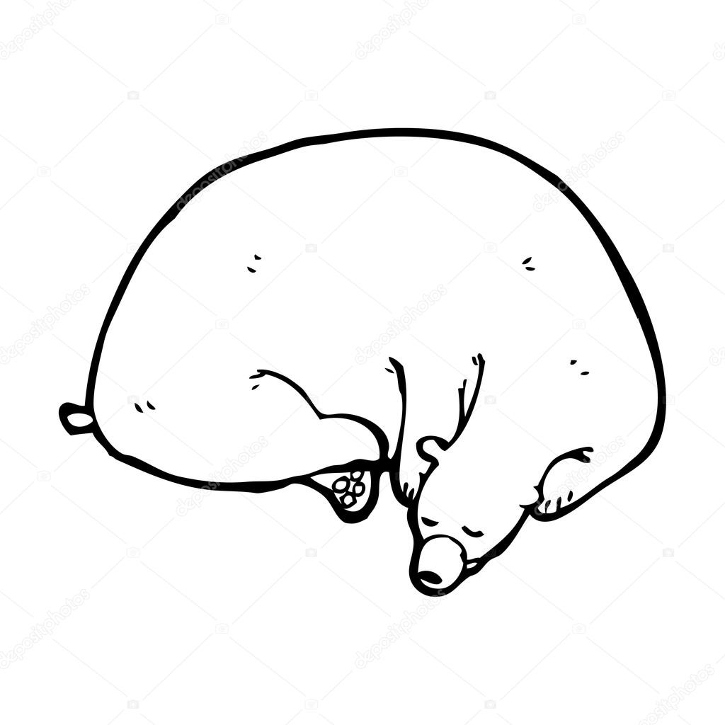 Sleeping Coloring Pages Of Bears In Caves Coloring Pages