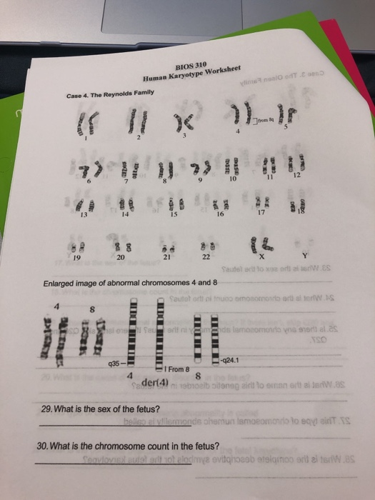 Solved BIOS 310 Human Karyotype Worksheet Vimal Case 4 The 