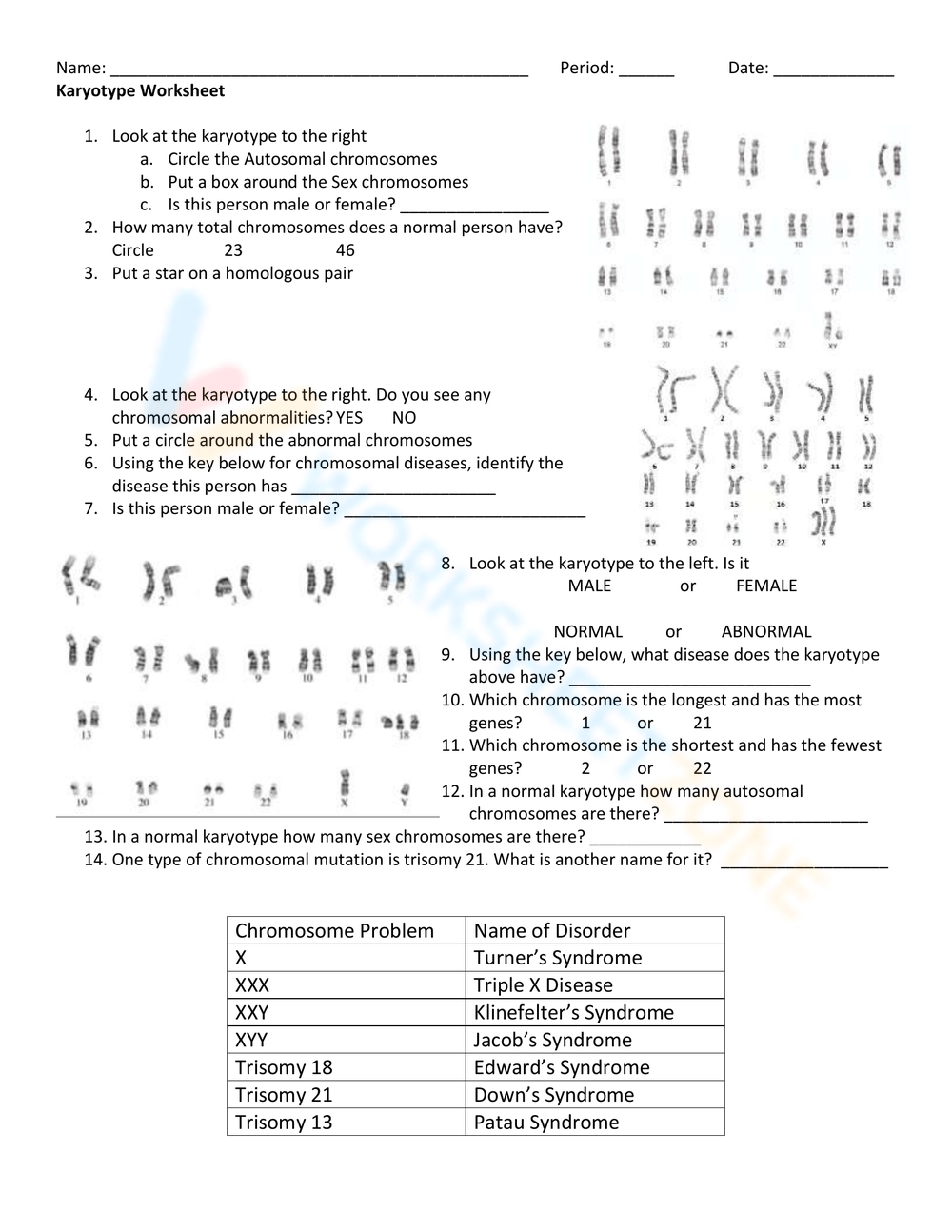 Solved Blology Karyotype Worksheet Name Period Date Chegg 