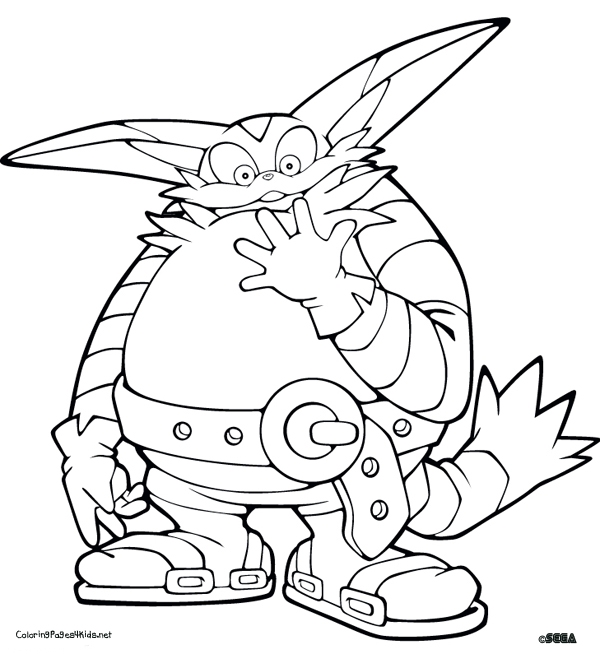 Sonic Characters Coloring Pages
