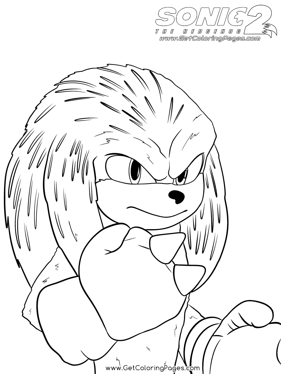 Sonic The Hedgehog And Friends Coloring Pages