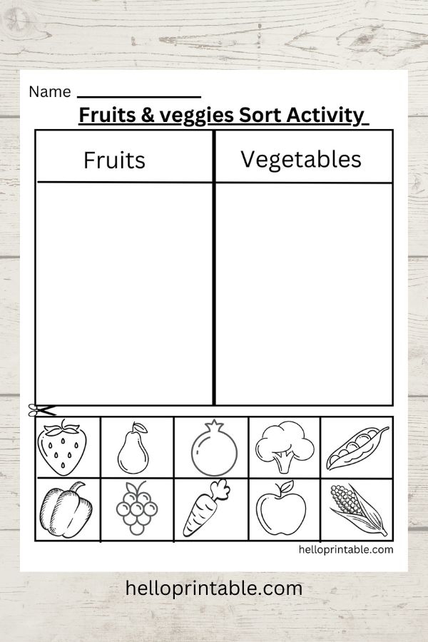 Sorting Activity Printable Worksheets Helloprintable