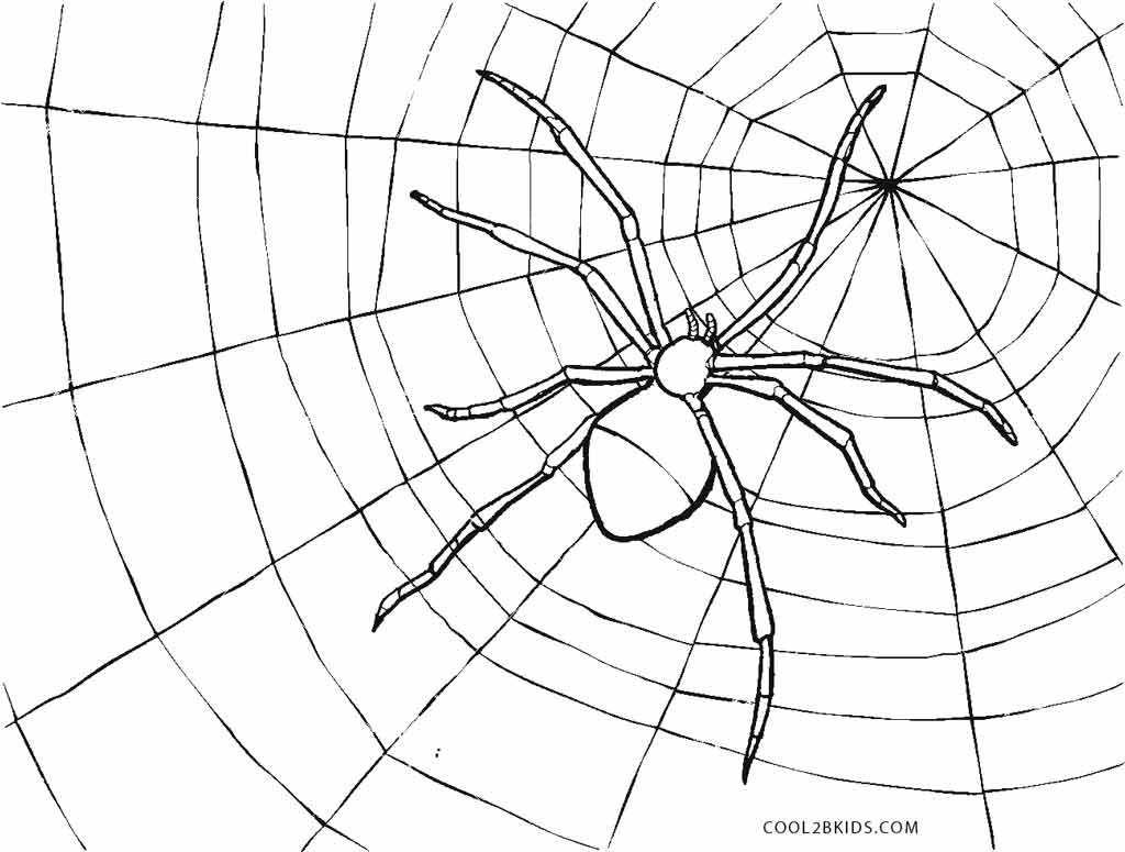 Spider Coloring Page