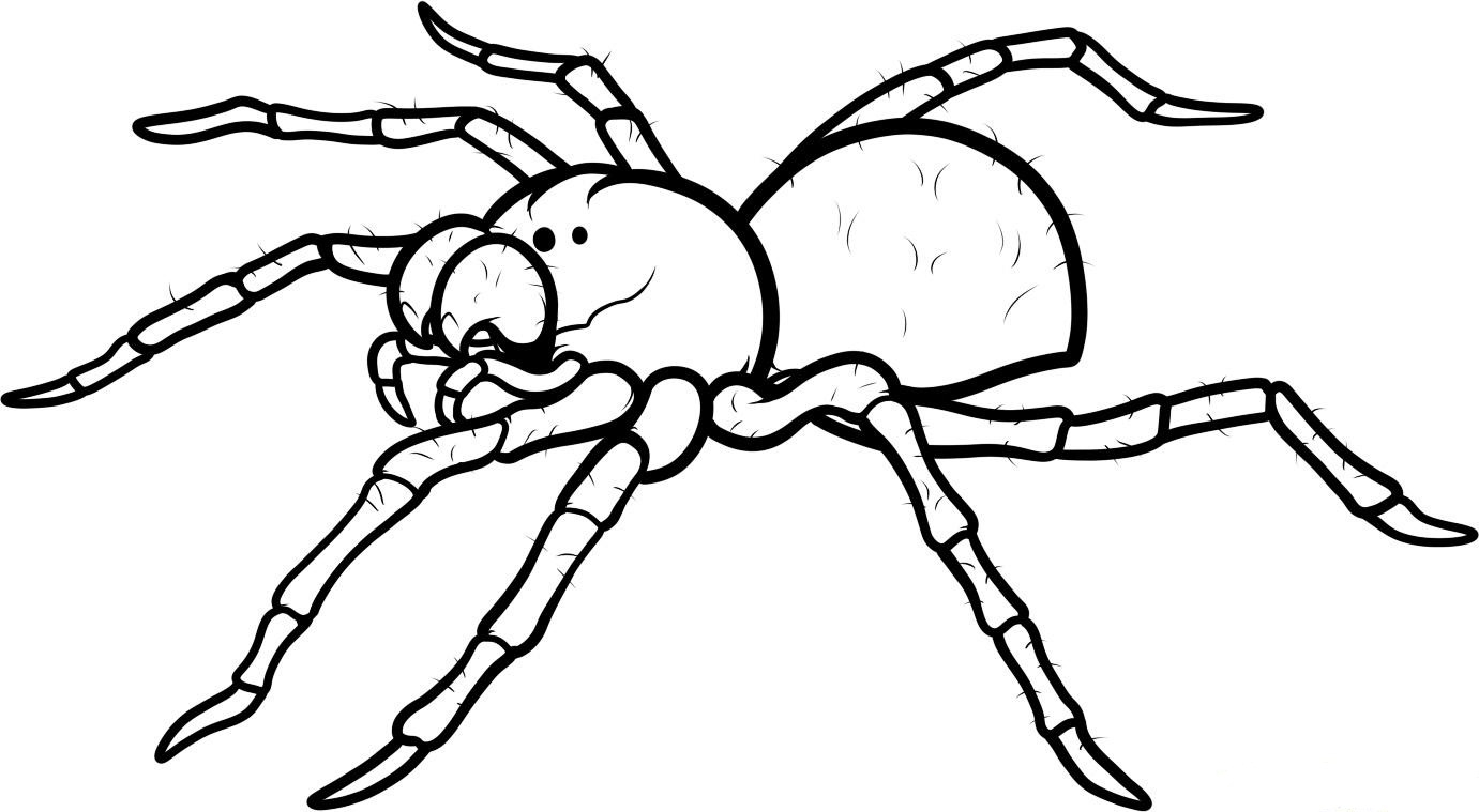free spider coloring pages
