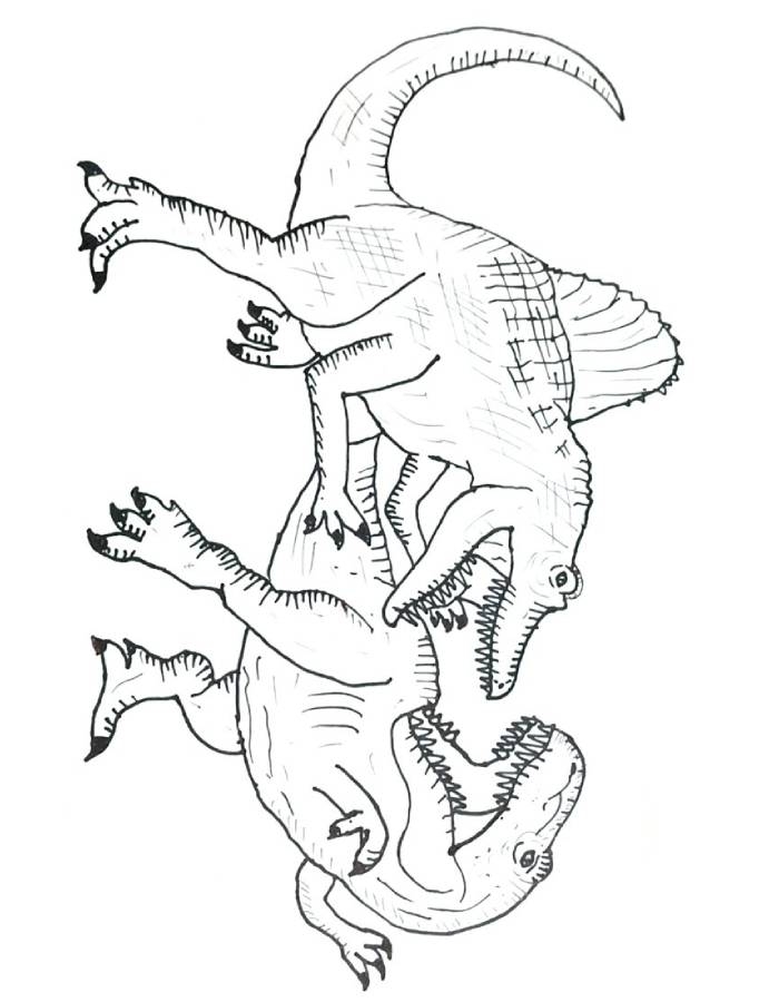 Spinosaurus Coloring Pages Free Printable PDF 