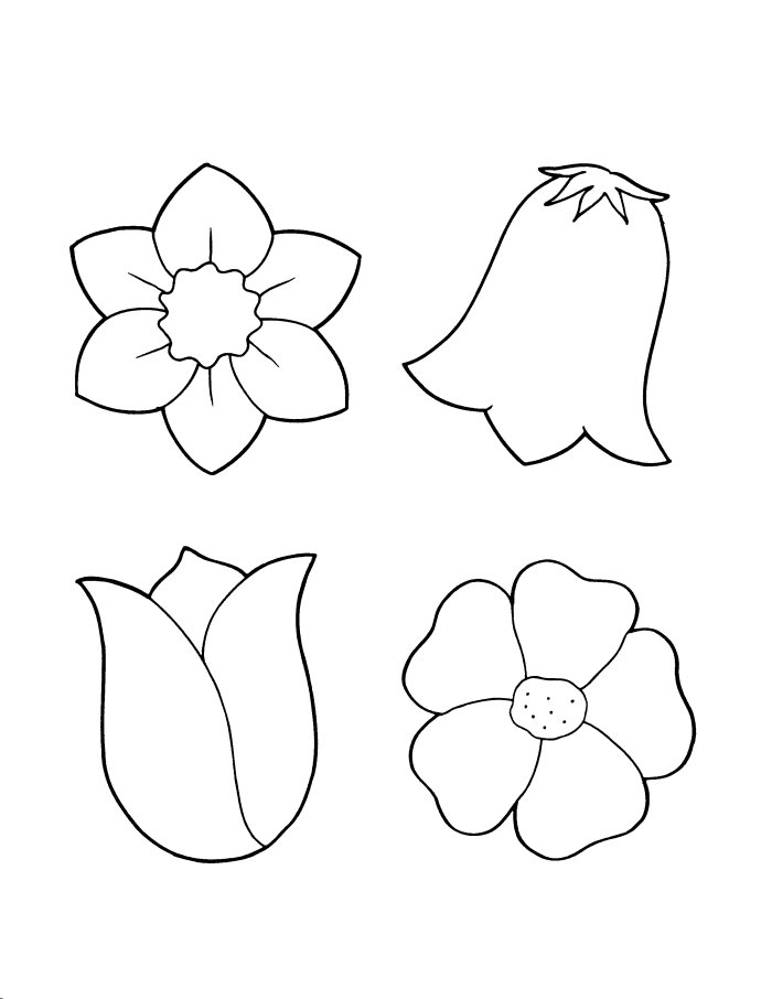 Spring Flower Coloring Pages Flower Coloring Page