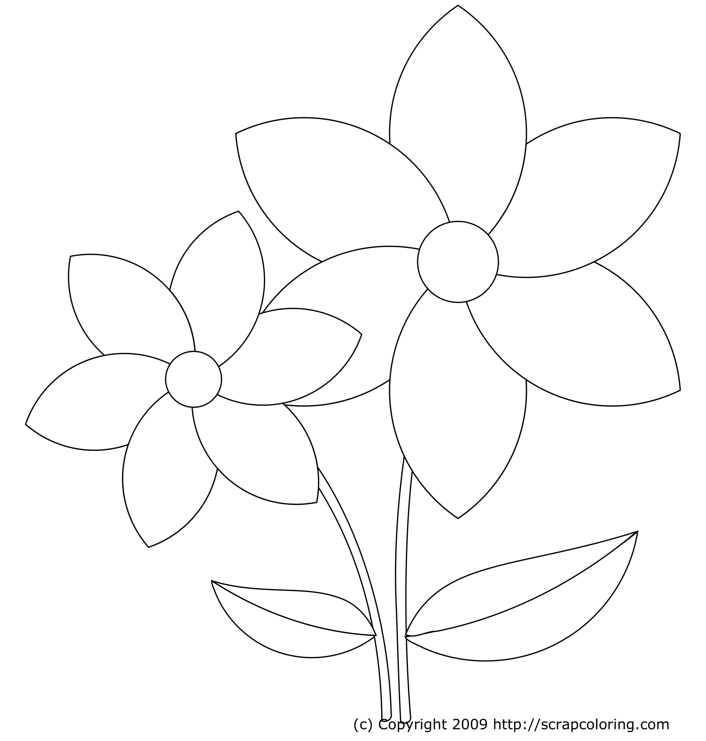 Spring Flower Coloring Pages To Download And Print For Free