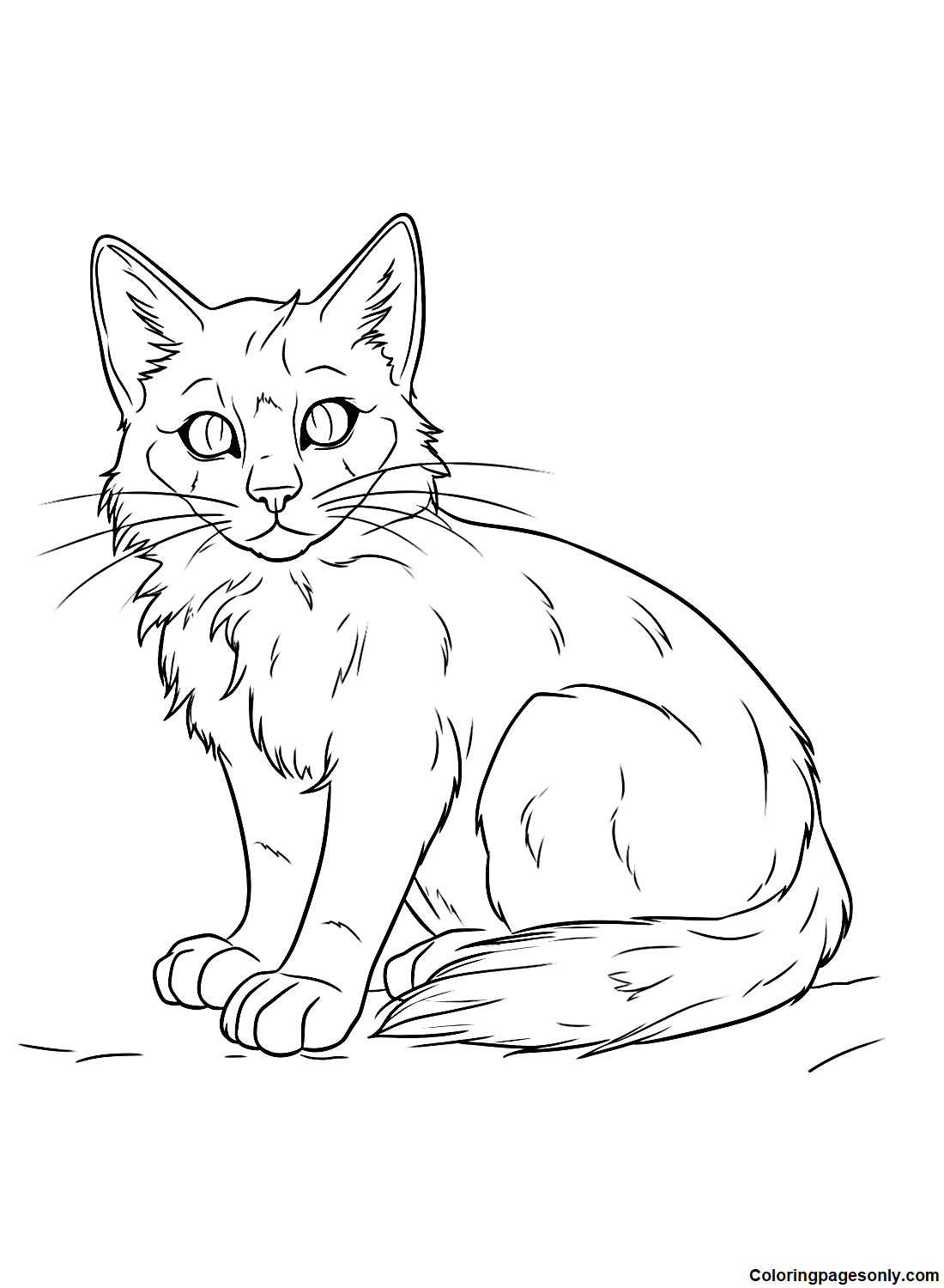 Squirrelflight Warrior Cats Coloring Pages Warrior Cats Coloring The 