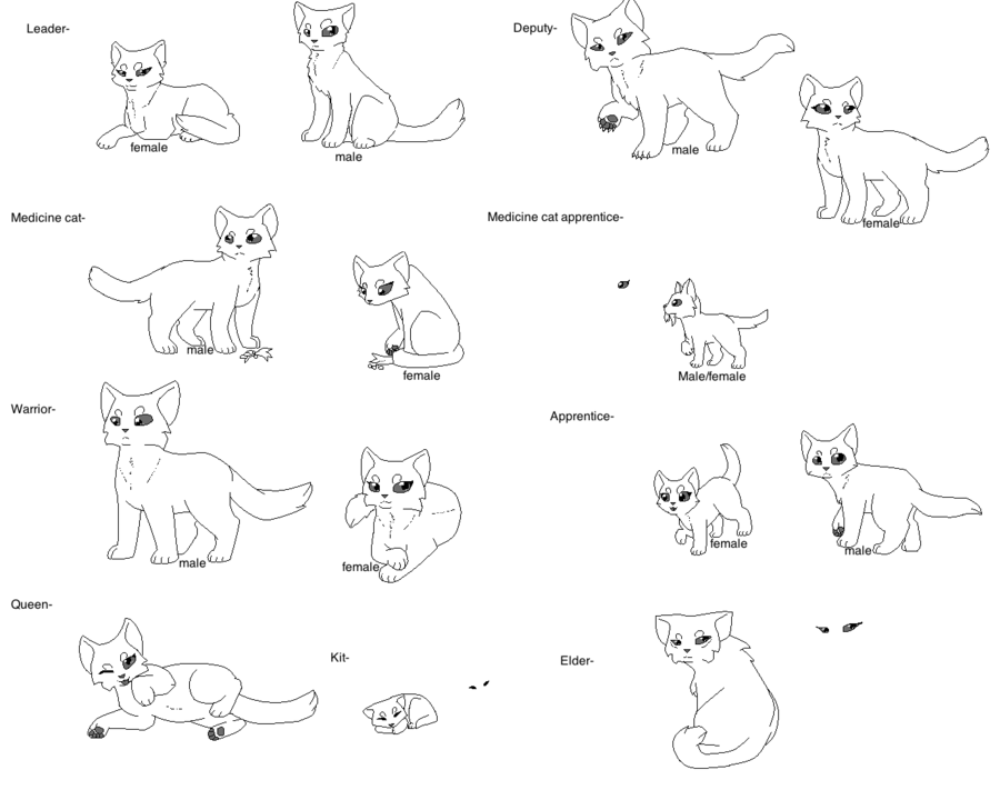 Coloring Pages Of Warrior Cats