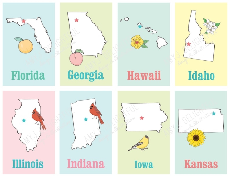 50 state flash cards printable