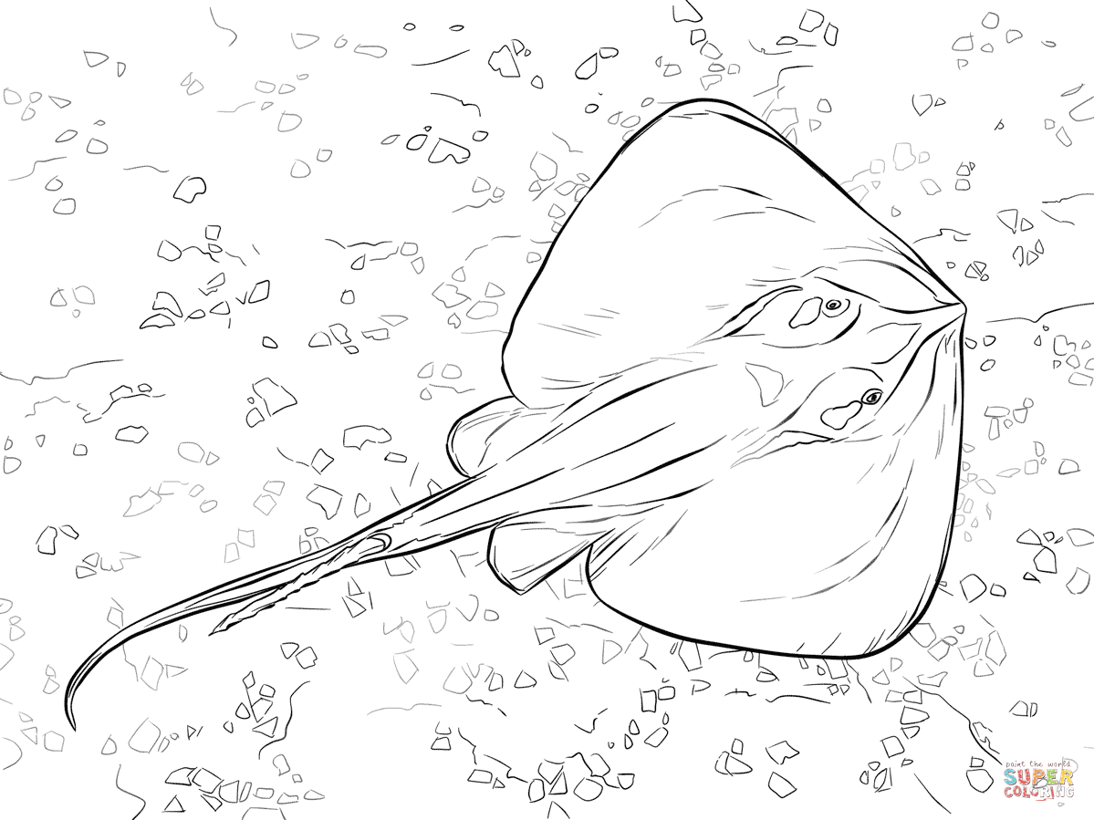 Stingray Coloring Page Coloring Home