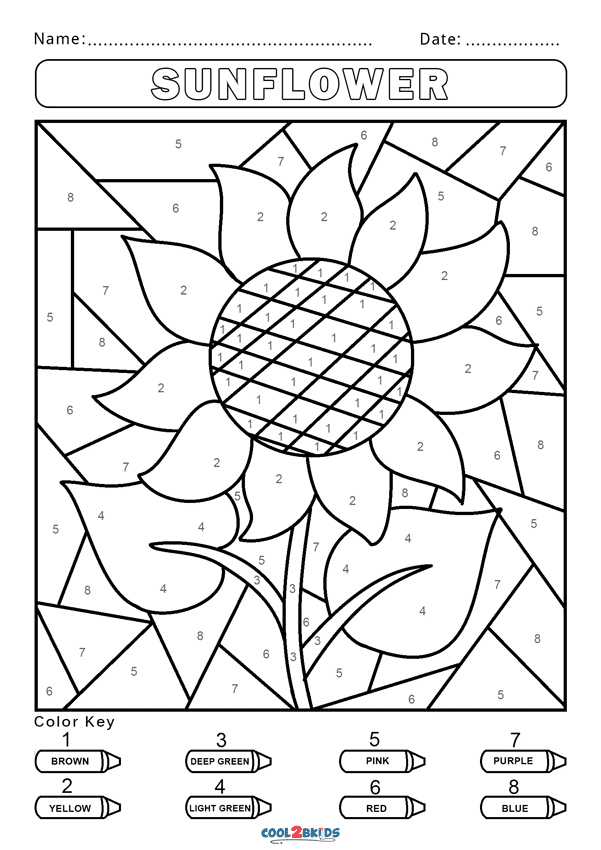 Sunflower Color By Number Coloring Page Free Printable Coloring Pages