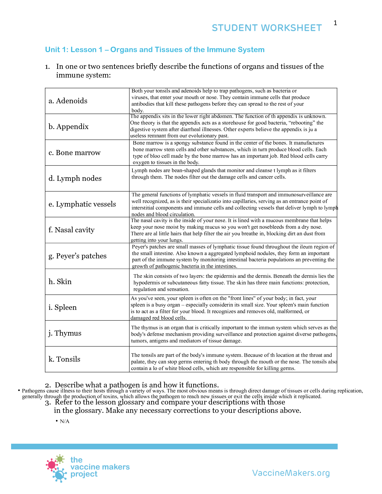 immune system worksheet