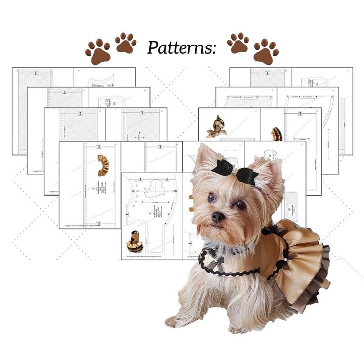 Template Easy Free Printable Dog Clothes Patterns Printable Sight 