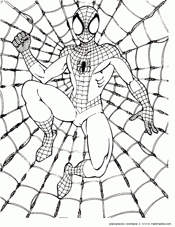 Spiderman Coloring Pages For Free