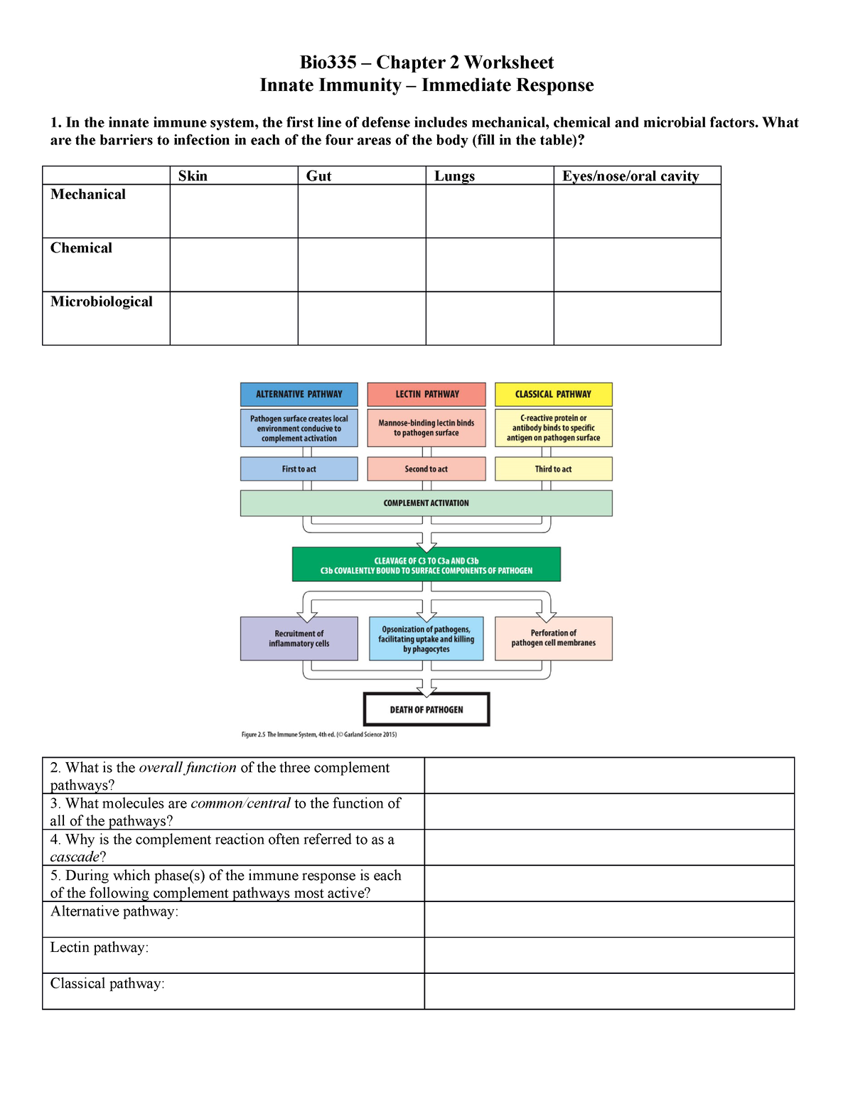 The Immune System Mind Map teacher Made Twinkl Worksheets Library