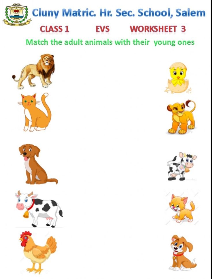 printable pictures of animals and their young ones