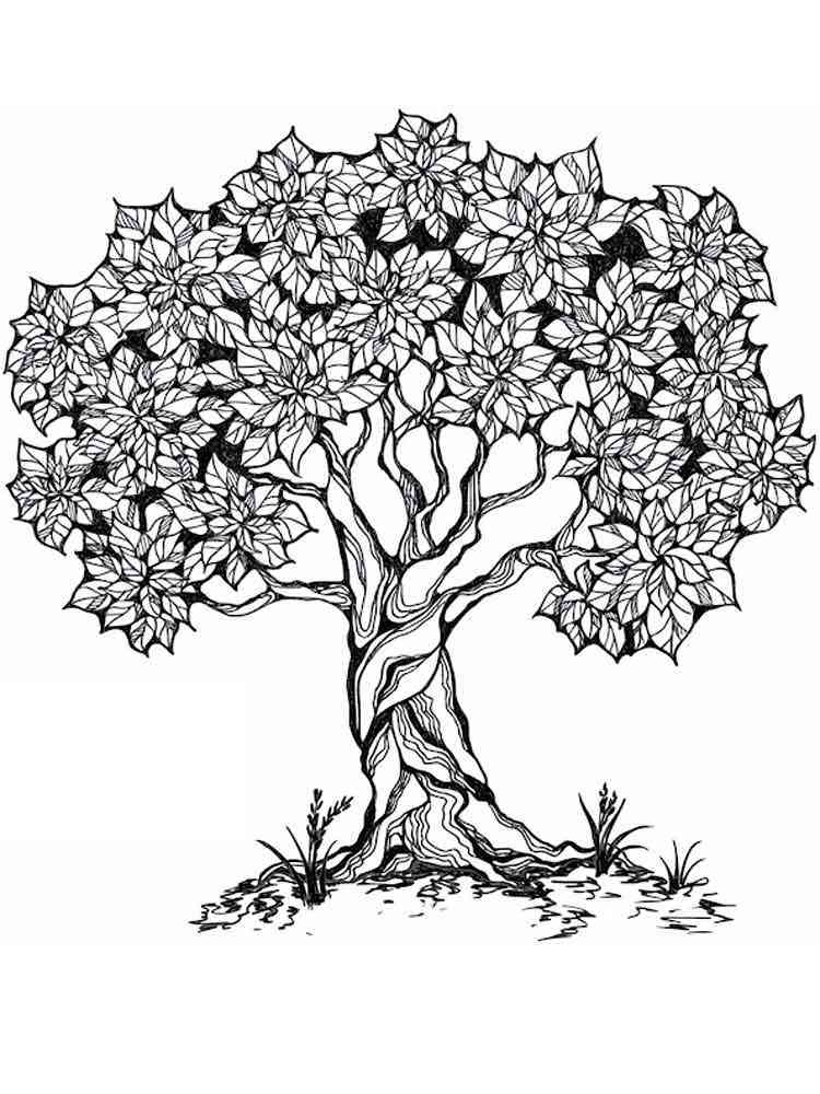free printable tree coloring pages