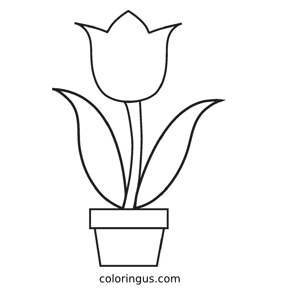 Tulip Coloring Pages Free Printable PDF 