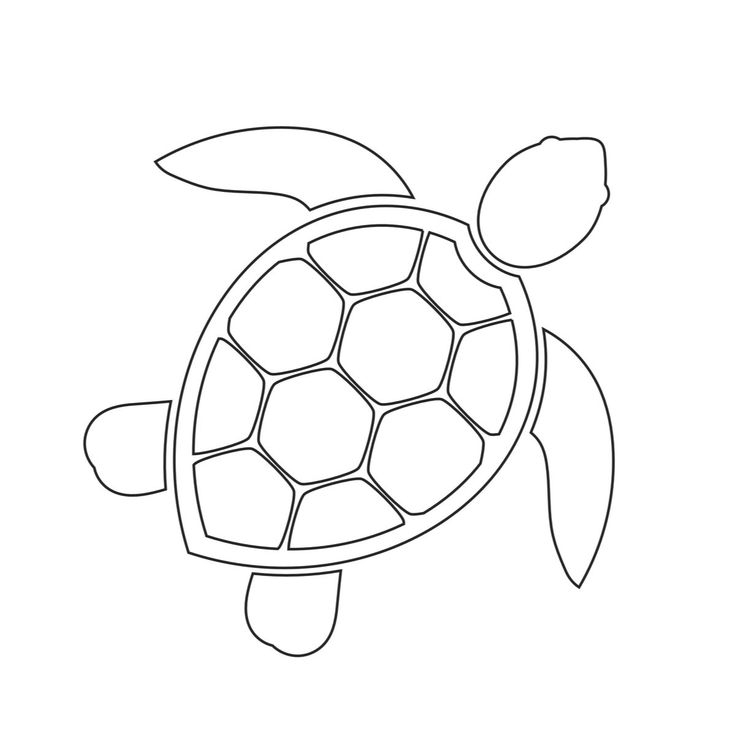 Turtle Template Free Printable